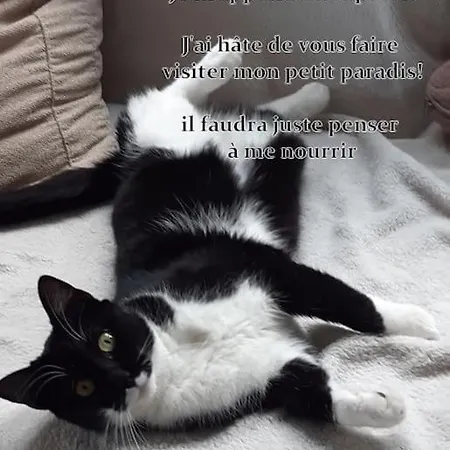 Casa vacanze La Salamandre - *